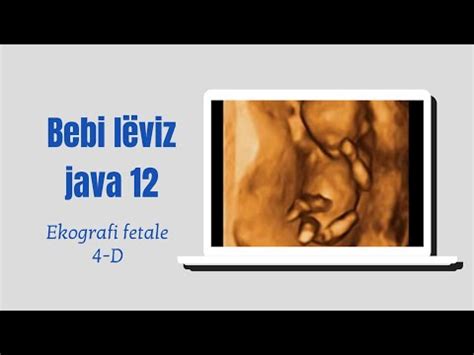 Java e 24-t e shtatznis Bebja juaj tani sht sa madhsia e parakrahut t nns. . Eko shtatzania java e 5